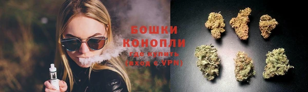 МДПВ Новокубанск