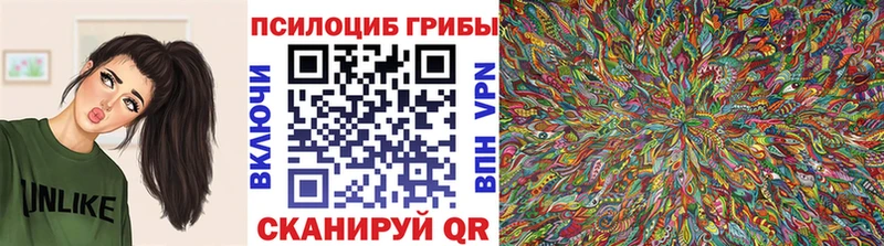 Псилоцибиновые грибы Magic Shrooms  купить   Онега 