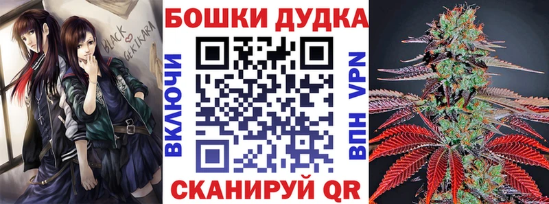 Каннабис Amnesia  купить   Онега 